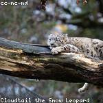 Yolanda Sawayn Profile Picture