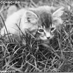 Madisyn Stehr Profile Picture