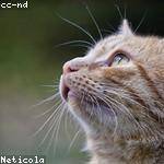 Jessie Breitenberg Profile Picture