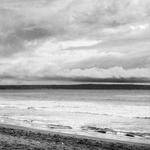 Tavares Wilkinson Profile Picture