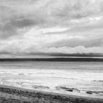 Tavares Wilkinson Profile Picture