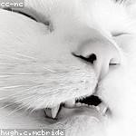 Chester Hoppe Profile Picture