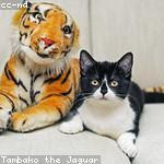 Helen Becker Profile Picture