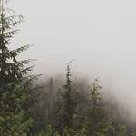 Joana Simonis Profile Picture