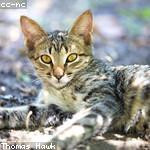 Elisha Wehner Profile Picture