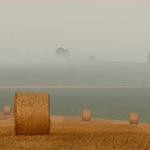 Saul Kiehn Profile Picture