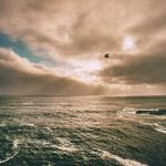 Rachel Schmitt Profile Picture