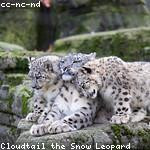 Heidi Ward Profile Picture