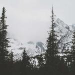 Abelardo Mraz Profile Picture