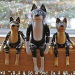 Laisha Bednar Profile Picture