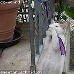 Chet Murphy Profile Picture