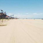 Susana Spencer Profile Picture