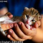 Louvenia Terry Profile Picture