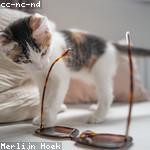 Tobin Wyman Profile Picture