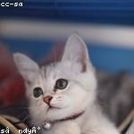 Rebecca Jerde Profile Picture