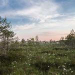 Jody Rempel Profile Picture