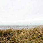 Jeff Ziemann Profile Picture