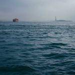 Clifford Schulist Profile Picture