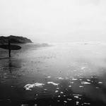 Nora Bernier Profile Picture