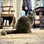 Stuart Jacobi Profile Picture