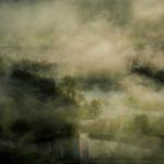 Brook McKenzie Profile Picture