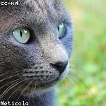 Jamel Gusikowski Profile Picture