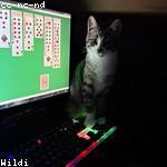 Hayden Runte Profile Picture