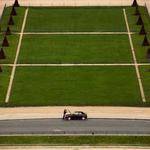 Mafalda Herman Profile Picture