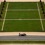 Mafalda Herman Profile Picture