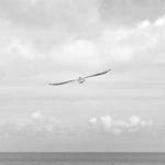 Jovan Ernser Profile Picture