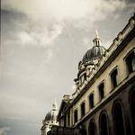 Amy Howell Profile Picture