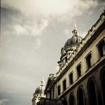 Amy Howell Profile Picture