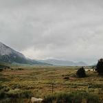 Arvilla Williamson Profile Picture