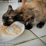 Hortense Kulas Profile Picture