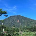 Sakur Padepokan profile picture