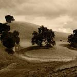 Collin Purdy Profile Picture