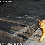 Danial White Profile Picture