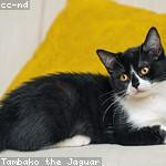 Karina Lakin Profile Picture