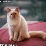 Gloria Mueller Profile Picture