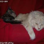 Marcos McGlynn Profile Picture