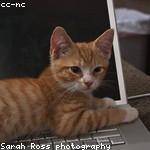 Elinor Medhurst Profile Picture