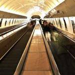 Brendan Hansen Profile Picture