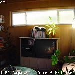 Miguel Tromp Profile Picture