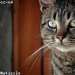 Lauren Schmeler Profile Picture