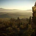 Bernard Runolfsson Profile Picture