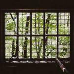 Lempi Cummings Profile Picture