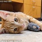 Fredy Connelly Profile Picture