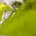 Reed Smitham Profile Picture