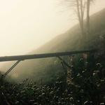 Kaleigh Nitzsche Profile Picture