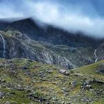 Cydney Feeney Profile Picture